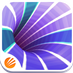 Speedx 3D
