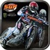 Official Speedway GP 2013